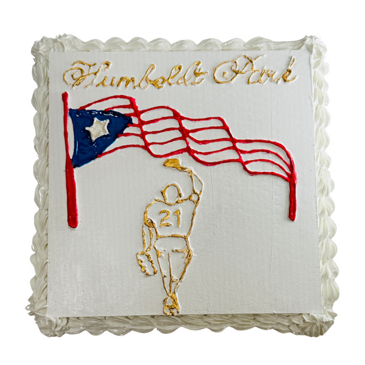 Chicago Humbodlt Park Flag