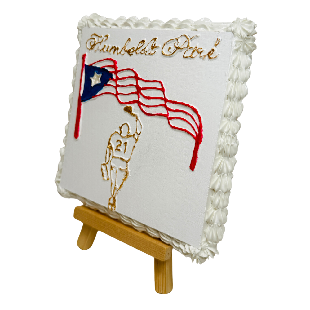 Chicago Humbodlt Park Flag